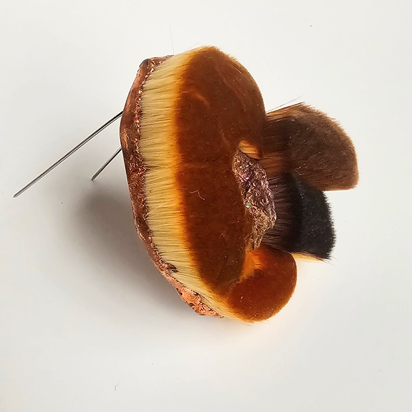 This image for Image Layouts addon